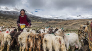 Photography Tours of Ladakh