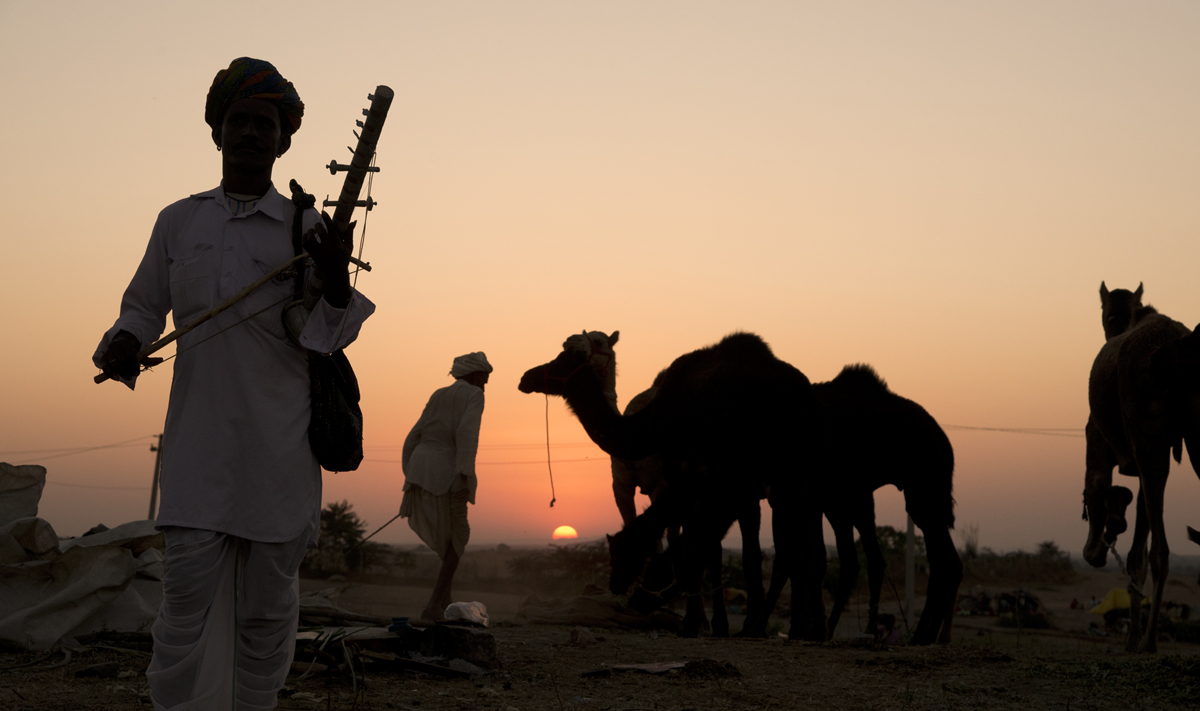 Pushkar Camel Fair in Rajasthan India